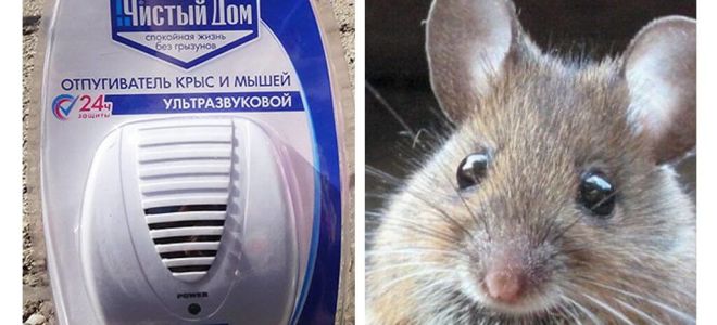 Repelent ultrasònic de rates i ratolins Neteja de la casa