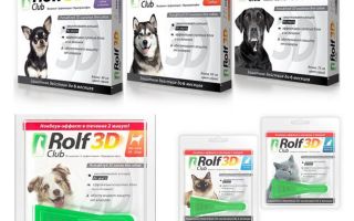Gotes Rolf Club 3D de puces per a gossos i gats
