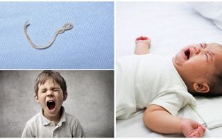 Els símptomes i el tractament de l'ascariasis en nens