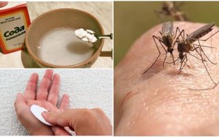 Solució de picades de mosquits per a nens i adults