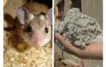 Quin tipus d’aïllament no menja ratolins